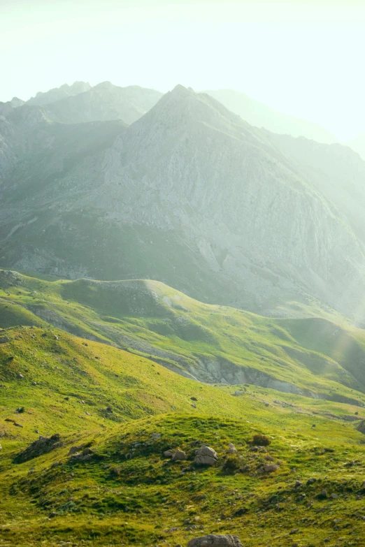 a herd of cattle standing on top of a lush green hillside, by Muggur, renaissance, sun shining through, alps, glowing green rocks, video