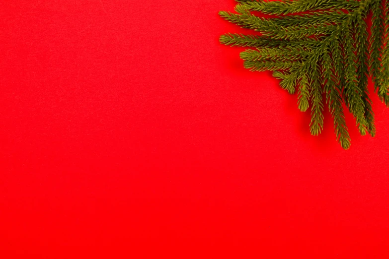 a christmas tree branch on a red background, an album cover, pexels contest winner, minimalism, background image, bright uniform background, green bright red, the best