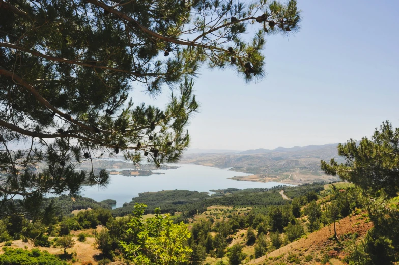 a bench sitting on top of a lush green hillside, by Juan Giménez, pexels contest winner, hurufiyya, lake in the distance, lots of oak and olive trees, arrendajo in avila pinewood, wide high angle view