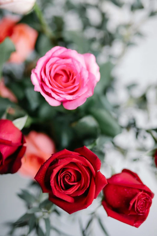 a bunch of red and pink roses in a vase, by Robbie Trevino, trending on unsplash, romanticism, middle close up, half image
