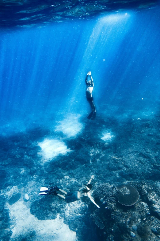 a couple of people swimming in the ocean, at the bottom of the ocean, ocean floor, long flowing fins, clear blue water