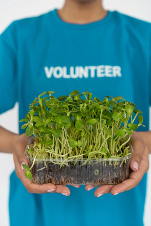 a person holding a pot of sprouts in their hands, a digital rendering, by Dan Content, shutterstock contest winner, vertical gardens, healthcare worker, cyan and green, instagram photo