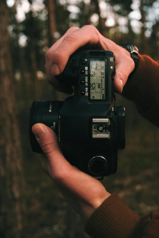 a person holding a camera in a forest, a picture, high-quality dslr photo”, digital still, photography”