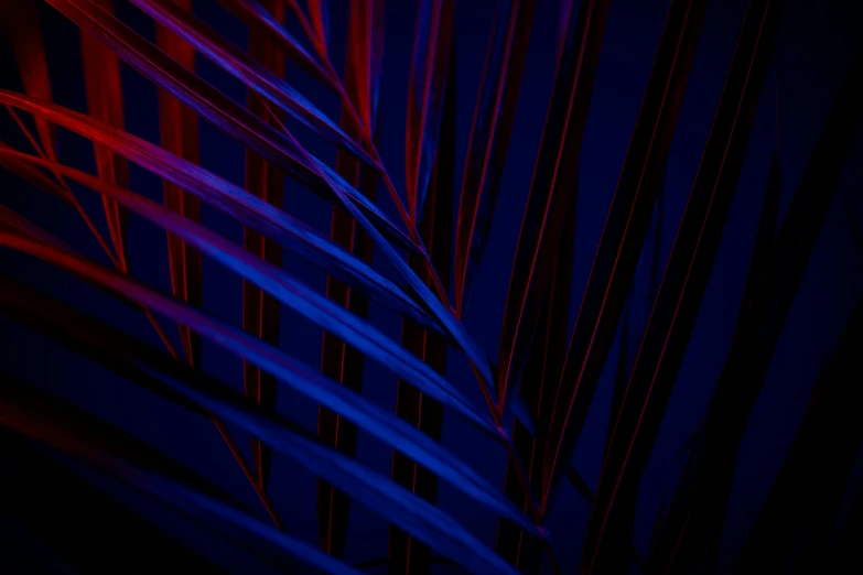 a close up of a plant with red and blue lights, by Adam Marczyński, unsplash, conceptual art, palm lines, beautiful composition 3 - d 4 k, abstract design. parallax. blue, indigo and venetian red