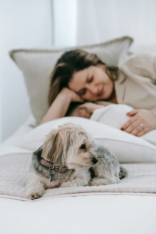 a woman laying in bed with a small dog, pregnancy, profile image, australian, wholesome