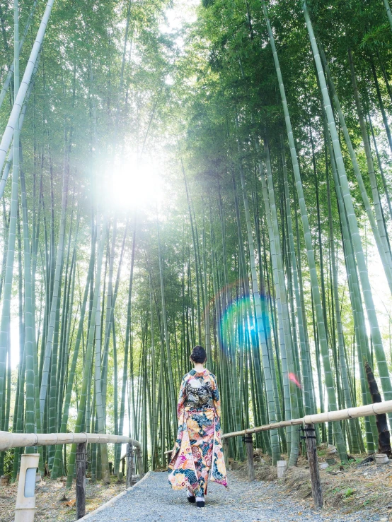 a woman in a kimono walking through a bamboo forest, unsplash, multiple stories, overlooking, gopro photo, made of bamboo