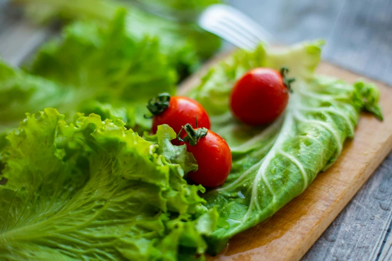 a wooden cutting board topped with lettuce and tomatoes, avatar image, eating, features, lush and green