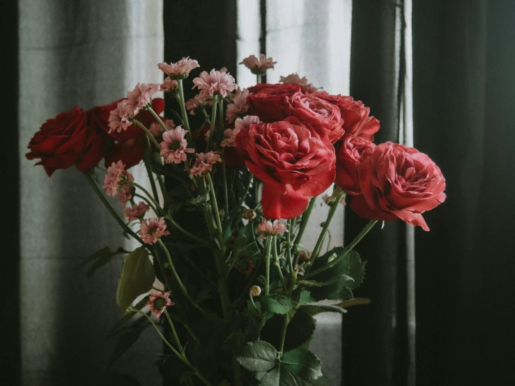 a vase filled with red roses next to a window, inspired by Elsa Bleda, pexels contest winner, pinks, red on black, bouquet, flowers grow from the body