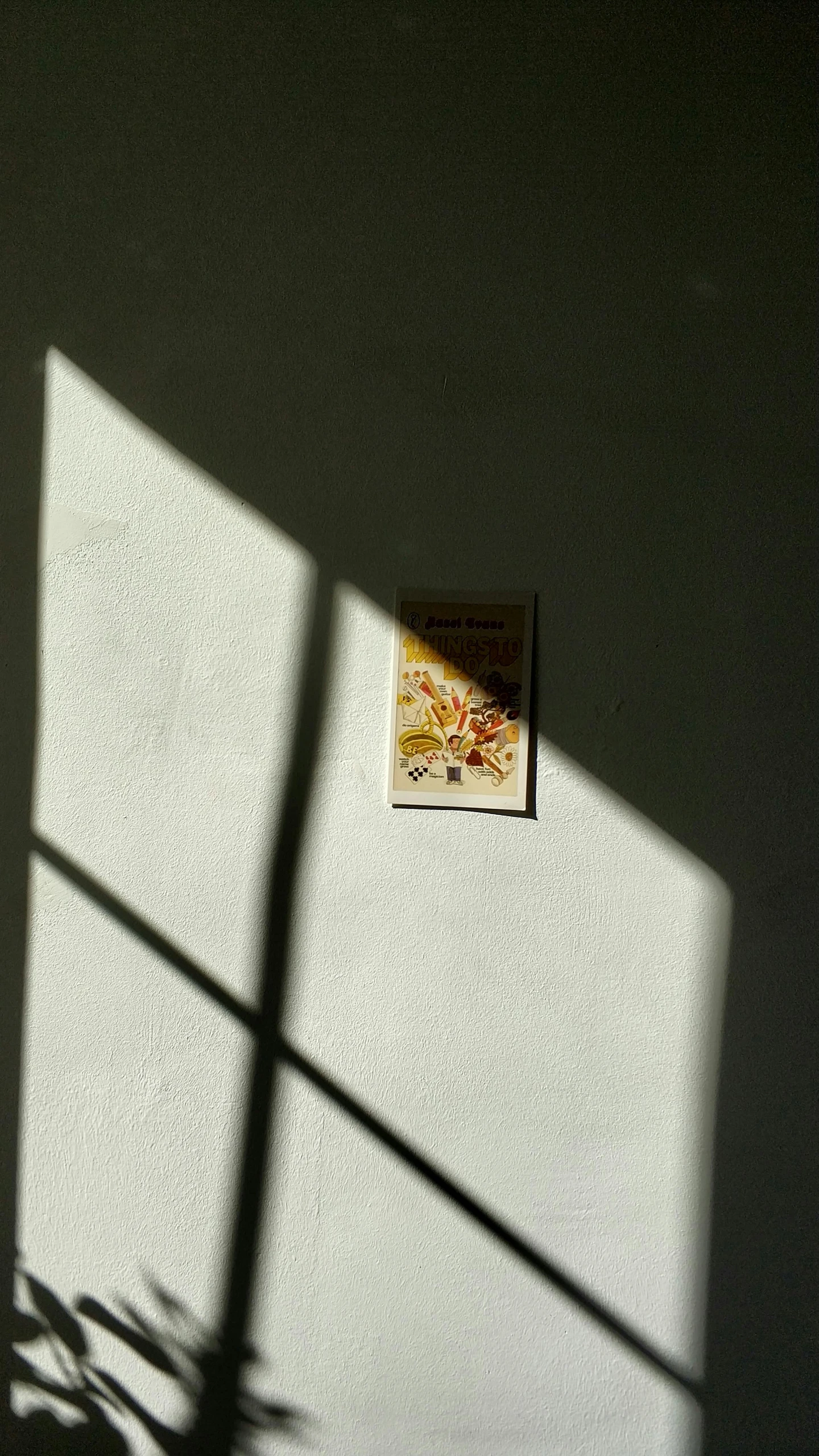 a potted plant sitting on top of a table next to a window, a polaroid photo, unsplash, light and space, long cast shadows, pressed flowers, wall painting, oil on canvas high angle view