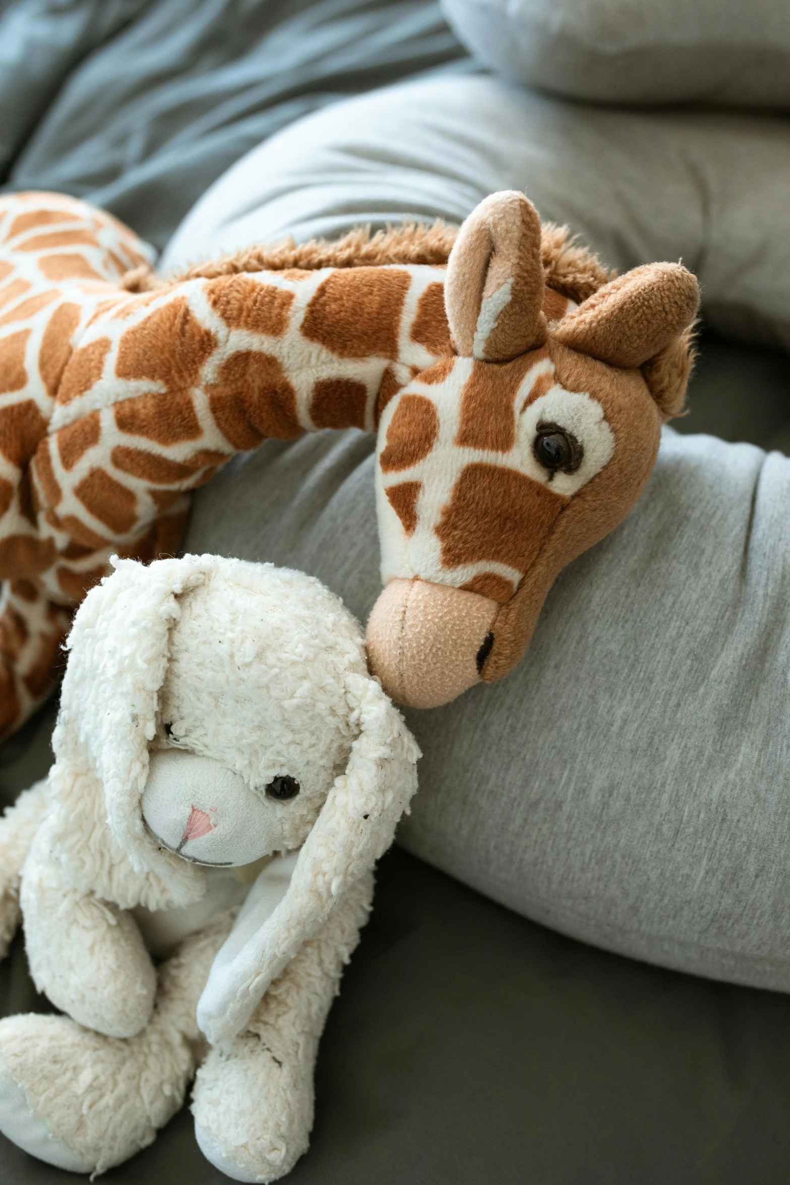 a couple of stuffed animals laying on top of a bed, a picture, sofie the giraffe, detail shot, softplay, relaxing on a couch