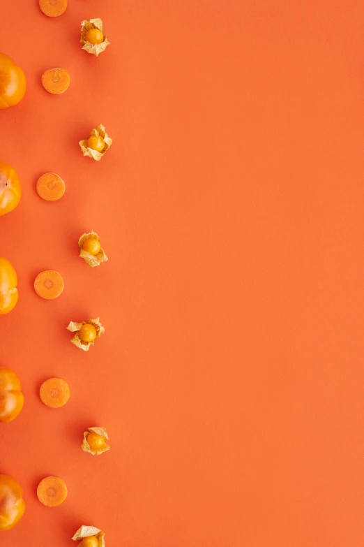 a group of oranges on an orange background, by Andries Stock, trending on unsplash, conceptual art, candy decorations, 15081959 21121991 01012000 4k, carrot, patterned background