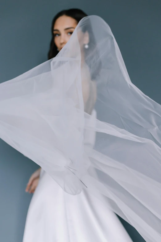 a woman in a white dress holding a veil, inspired by Carlo Randanini, trending on unsplash, wearing organza gown, on grey background, zoomed out view, made of silk paper