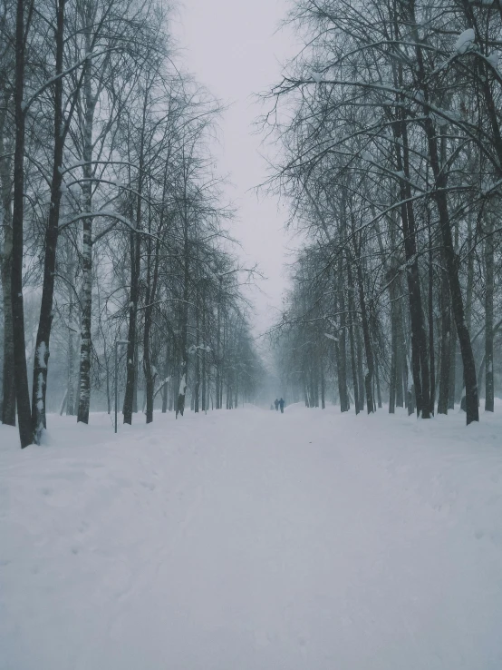 a person walking through a snow covered park, an album cover, pexels contest winner, 5k, moscow, extremely pale, trees!!