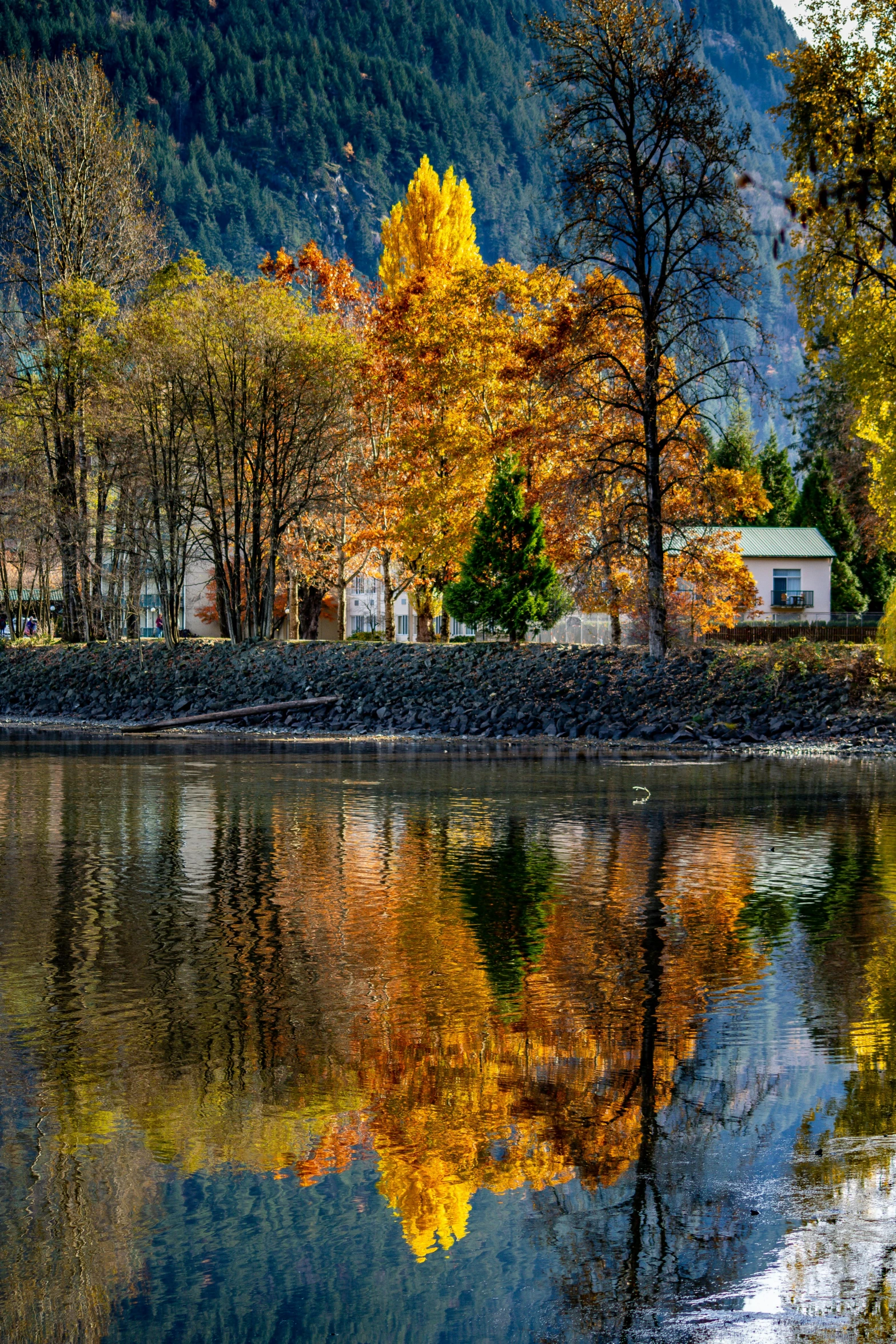 a body of water surrounded by trees with mountains in the background, by Jim Nelson, pexels contest winner, visual art, autumn lights colors, building along a river, chrome reflections, camp