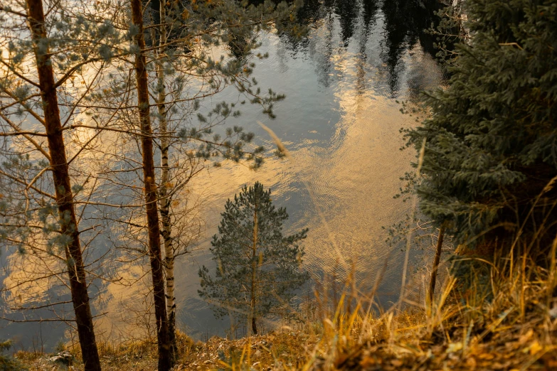 a body of water surrounded by trees on a hillside, a picture, inspired by Bruno Liljefors, unsplash, romanticism, gold refractions off water, late afternoon light, grey, low angle 8k hd nature photo