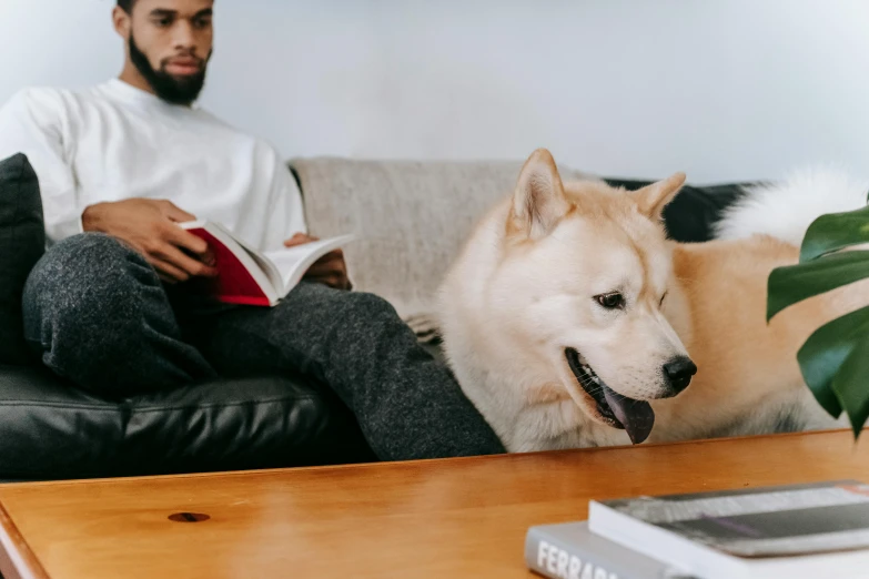 a man sitting on a couch next to a dog, pexels contest winner, open book page, shibu inu, thumbnail, high quality image