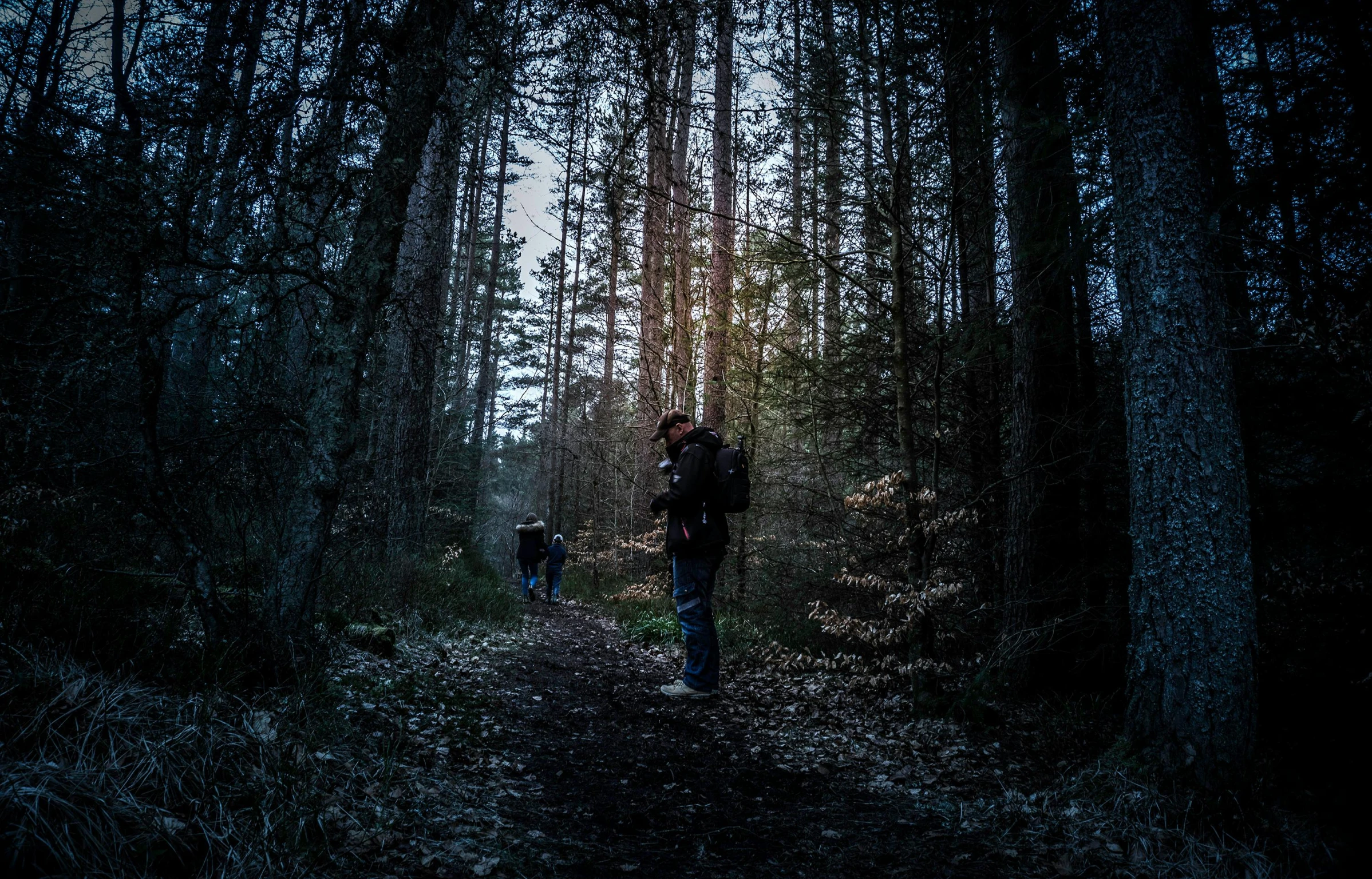 a group of people walking through a forest at night, carrying survival gear, blue hour photography, ((forest)), creepy mood