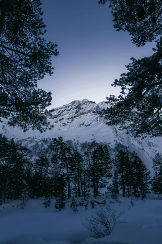 a snow covered mountain with trees in the foreground, inspired by Eero Järnefelt, unsplash contest winner, baroque, blue hour, view from ground, looking threatening, taken in the late 2010s