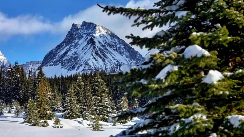 a man riding skis down a snow covered slope, a photo, banff national park, cannon snow covered trees, an ice volcano, a cozy