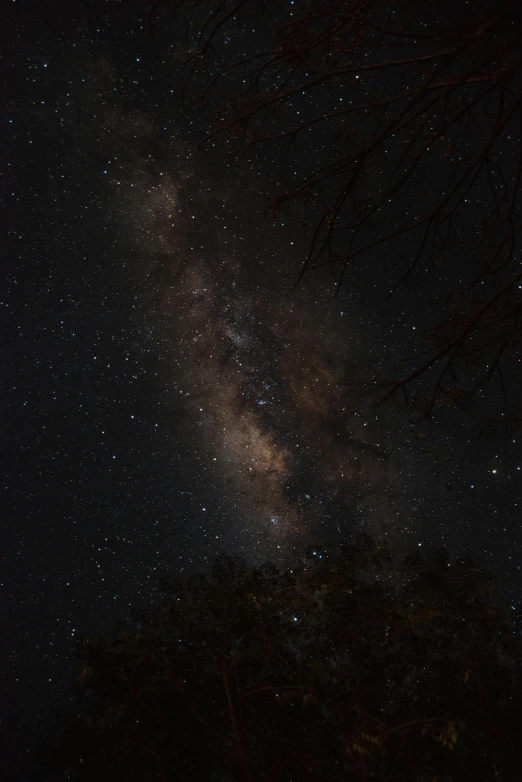 the milky shines brightly in the night sky, by Peter Churcher, unsplash, light and space, brown, over the tree tops, dark-skinned, grey