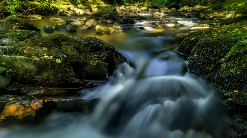 a stream running through a lush green forest, by Andries Stock, pexels contest winner, fan favorite, backlit, rapids, lower saxony