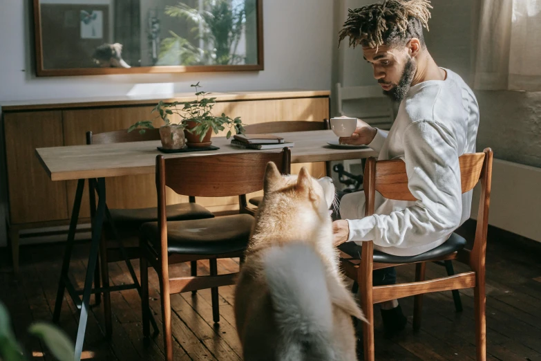 a man sitting at a table with two dogs, by Emma Andijewska, pexels contest winner, black man with afro hair, pete davidson walking a kangaroo, a cat sipping coffee, 1 4 9 3