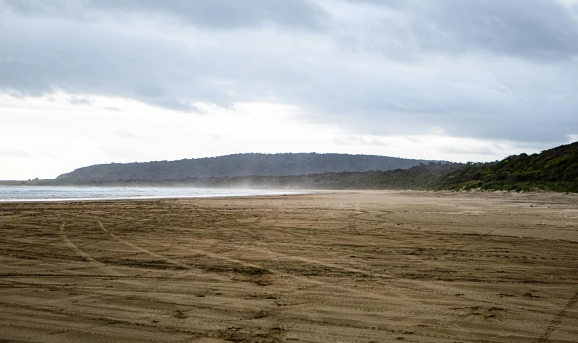 a man flying a kite on top of a sandy beach, by Peter Churcher, unsplash, hurufiyya, slightly foggy, bulli, wide long view, eucalyptus