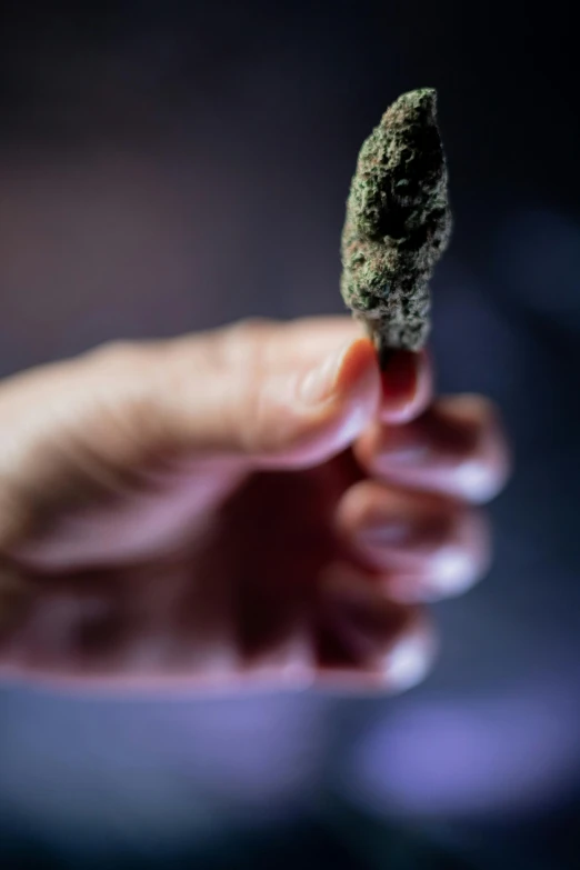 a person holding a piece of marijuana in their hand, by Adam Chmielowski, dynamic closeup, single long stick, crips details, og