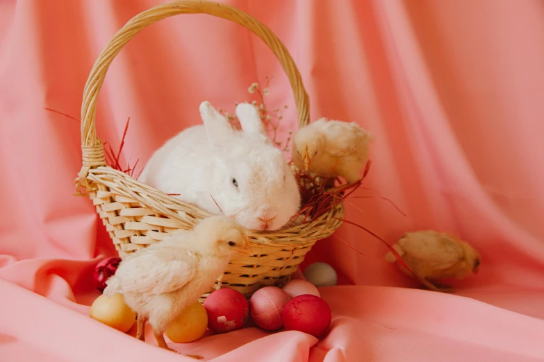 a white rabbit sitting in a basket filled with eggs, by Julia Pishtar, pexels contest winner, pink and red color scheme, 🎀 🧟 🍓 🧚, arper's bazaar, hana alisa omer