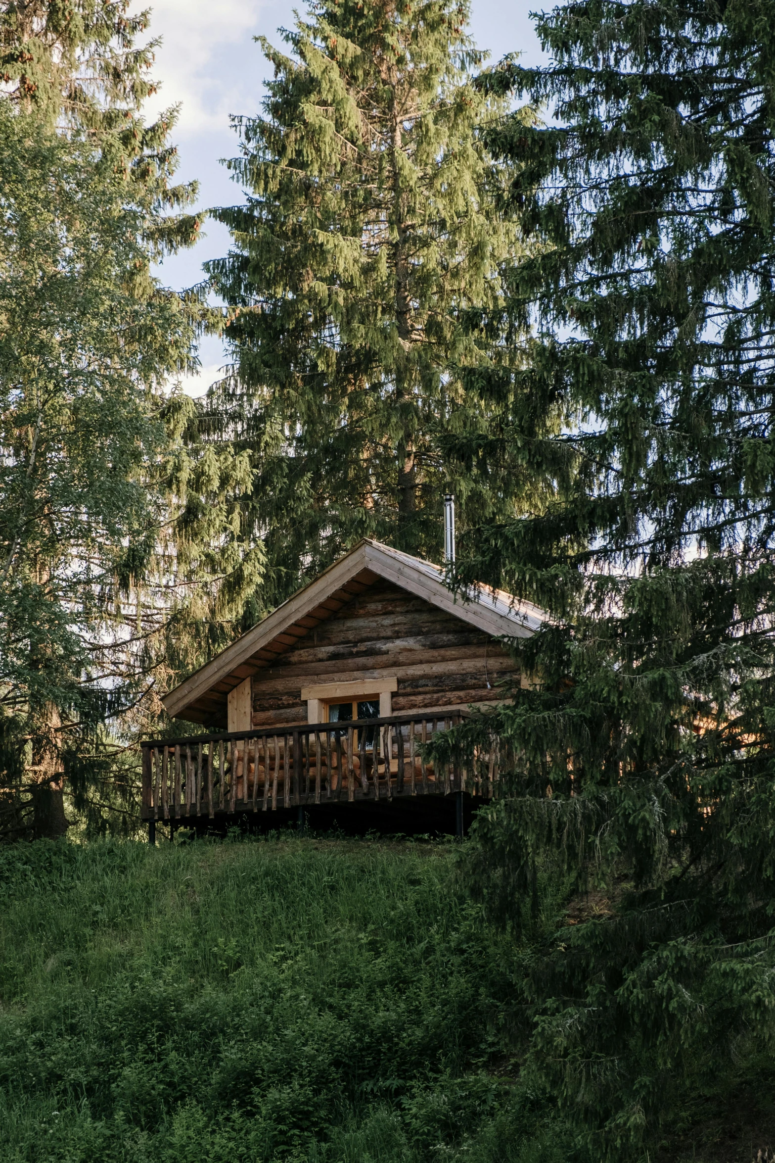 a cabin sitting on top of a lush green hillside, spruce trees, beautifully lit, nomad, front facing