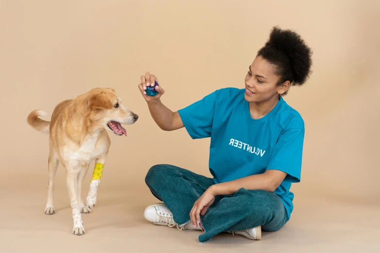 a woman sitting on the ground petting a dog, unsplash, minimalism, with an iv drip, holding a ball, coloured, healthcare worker