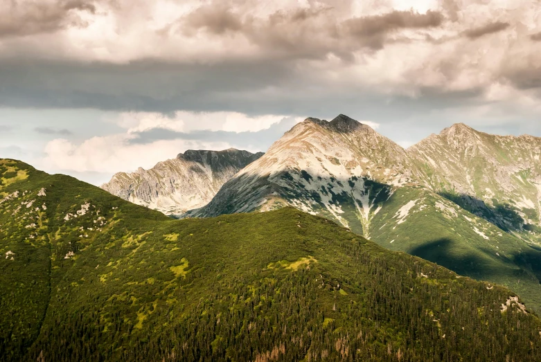 a herd of cattle standing on top of a lush green hillside, by Adam Marczyński, pexels contest winner, baroque, bakelite rocky mountains, distant mountains lights photo, panoramic, late afternoon light