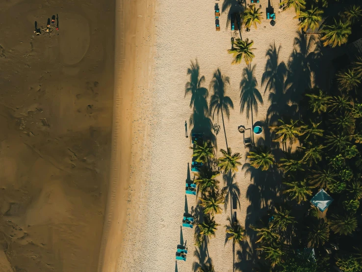 an aerial view of a beach with palm trees, pexels contest winner, hard light and long shadows, thumbnail, golden hour in boracay, extra detail