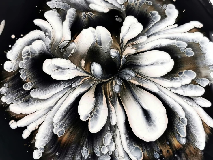 a close up of a flower on a plate, a detailed painting, inspired by Ross Bleckner, unsplash, ferrofluid oceans, white on black, flower explosion, ink on canvas