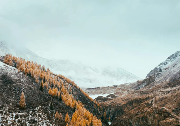 a mountain covered in snow next to a body of water, pexels contest winner, muted fall colors, cypresses, moody : : wes anderson, overlooking a valley with trees