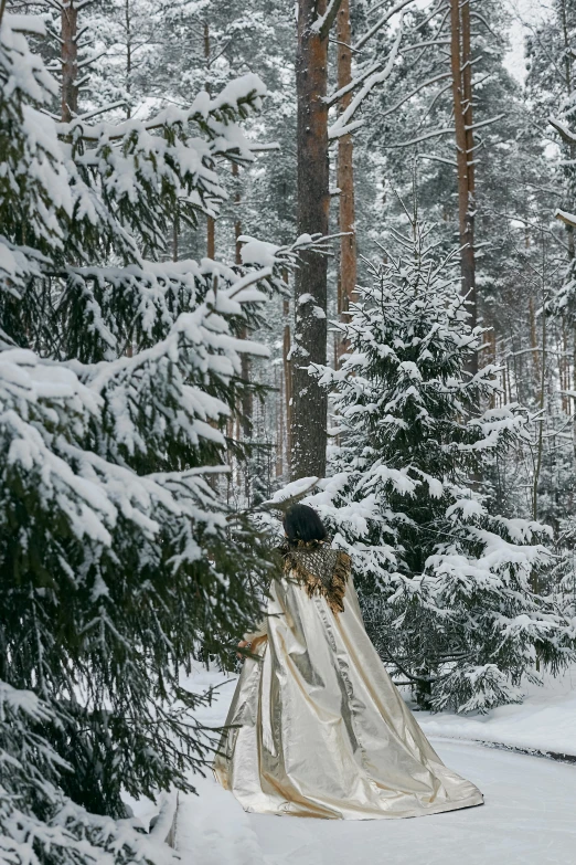 a person that is standing in the snow, inspired by Einar Hakonarson, land art, nestled in a forest, teepee, traditional clothing, shot from a distance