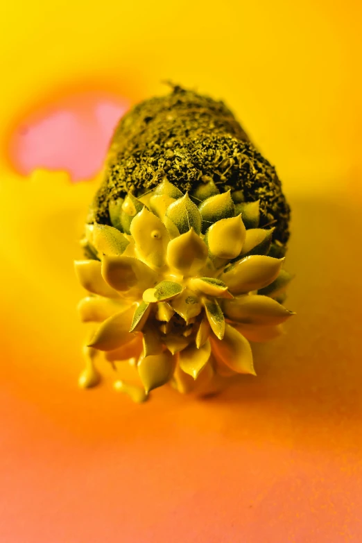 a piece of broccoli sitting on top of a yellow plate, a macro photograph, by Jim Nelson, process art, flower buds, nug pic, cone, yellow-orange