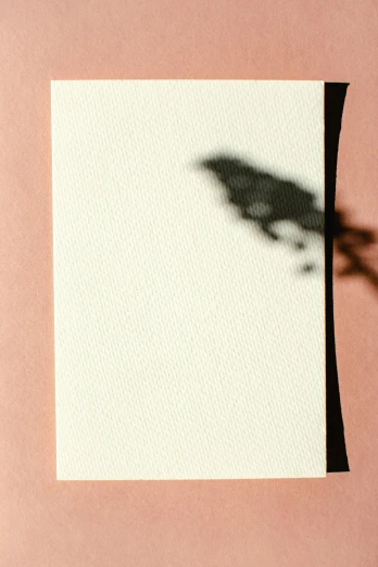 a shadow of a bird on a piece of paper, an album cover, by Christoph Amberger, trending on pexels, minimal pink palette, sunbathed skin, focus on card, unframed