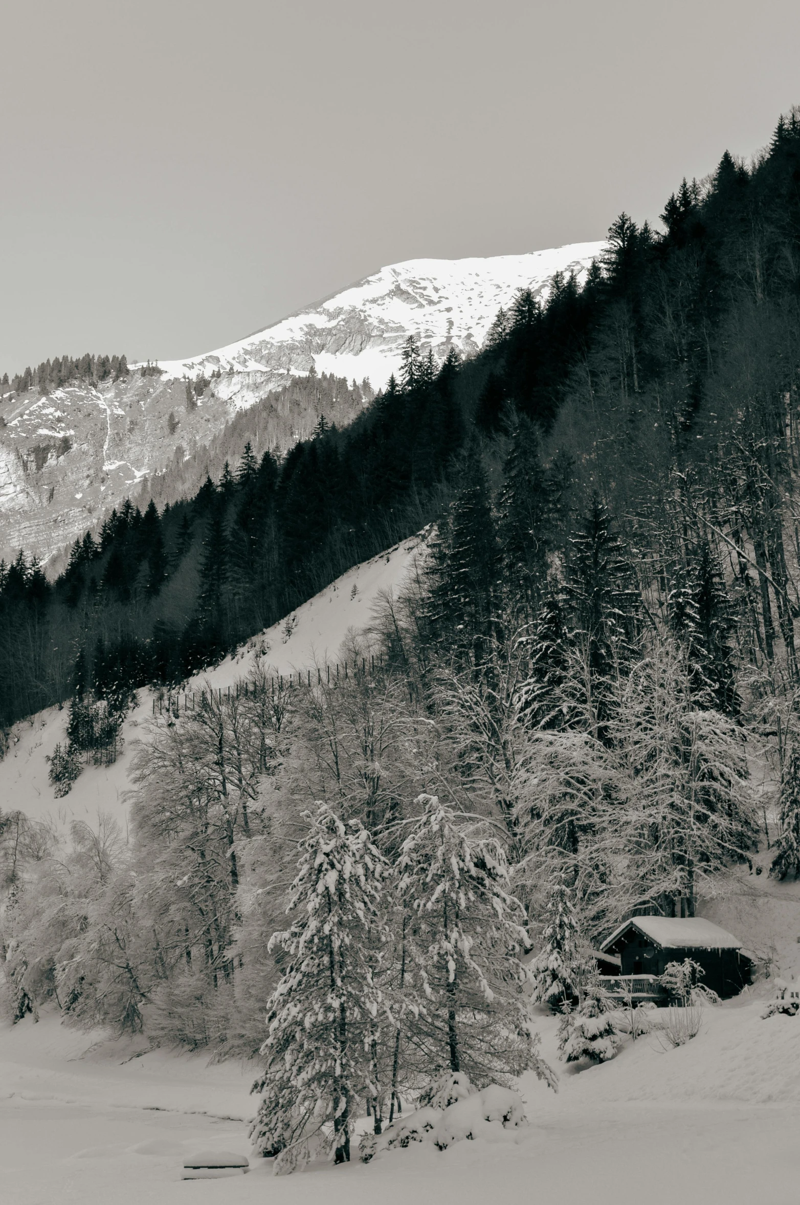 a black and white photo of a snow covered mountain, inspired by Karl Stauffer-Bern, pexels contest winner, renaissance, lush forest in valley below, chalet, in muted colours, side