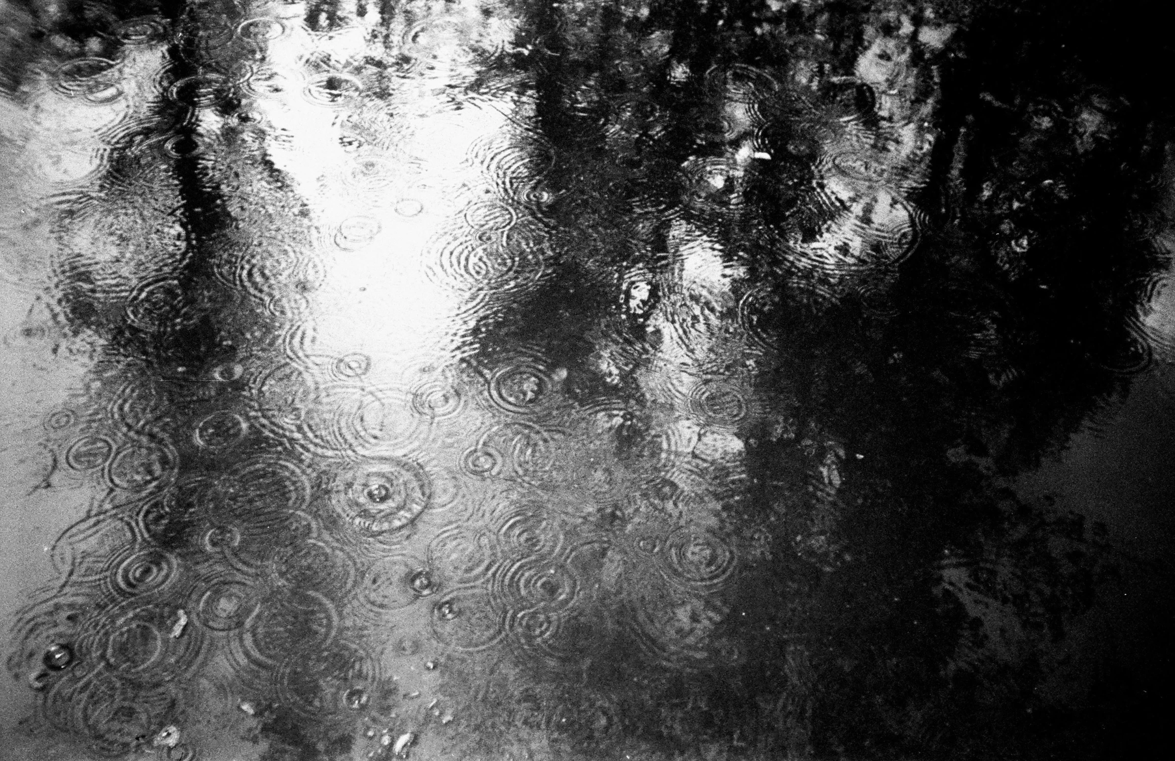 a black and white photo of a puddle of water, by Jan Rustem, light rain, circles, texturized, boston