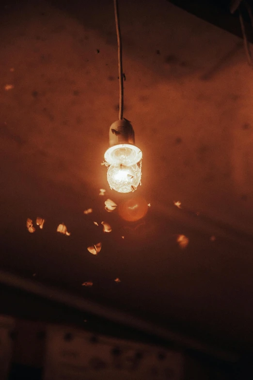 a close up of a light bulb on a ceiling, inspired by Elsa Bleda, pexels contest winner, light and space, embers adrift in the air, light casting onto the ground, taken in the late 2000s, lit from above