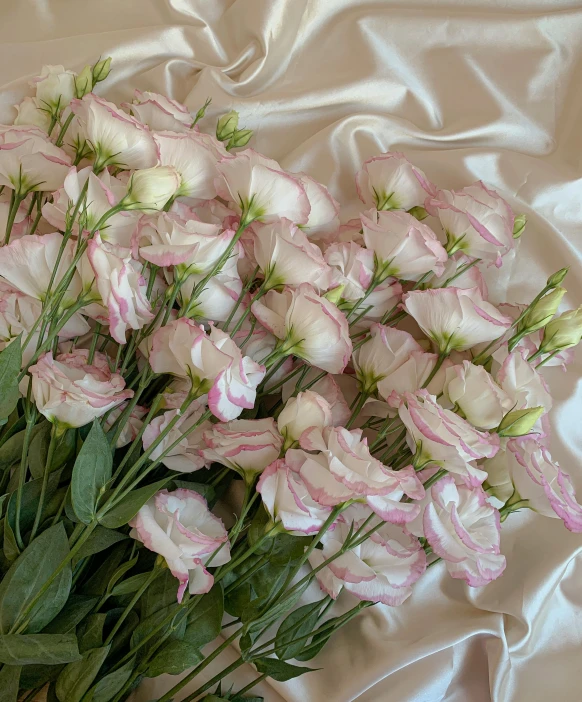 a close up of a bunch of flowers on a bed, by Elsie Henderson, pearlescent white, pink tigers, silky smooth, heavenly marble