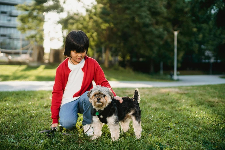 a woman kneeling in the grass with two small dogs, by Julia Pishtar, pexels contest winner, little boy, walking at the park, asian female, thumbnail