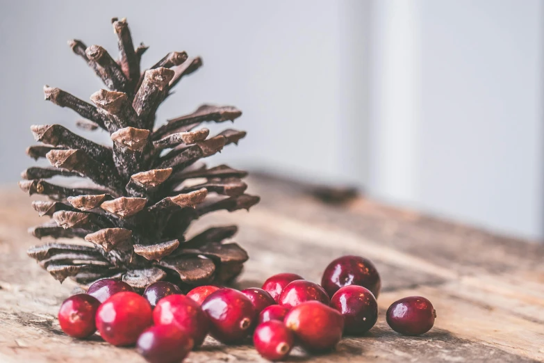 a pine cone sitting on top of a wooden table, pexels contest winner, cranberry statue, no cropping, black fir, pomegranate