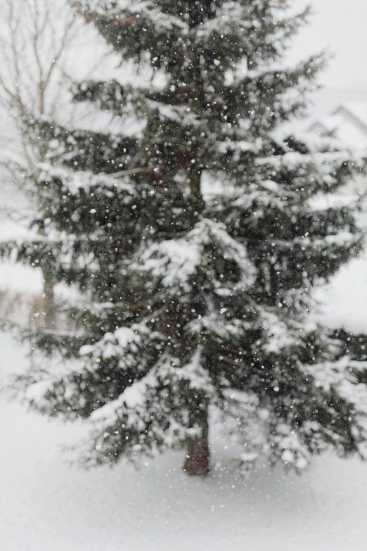 a man riding a snowboard down a snow covered slope, an album cover, pexels contest winner, hurufiyya, christmas tree, during a hail storm, back yard, iphone photo