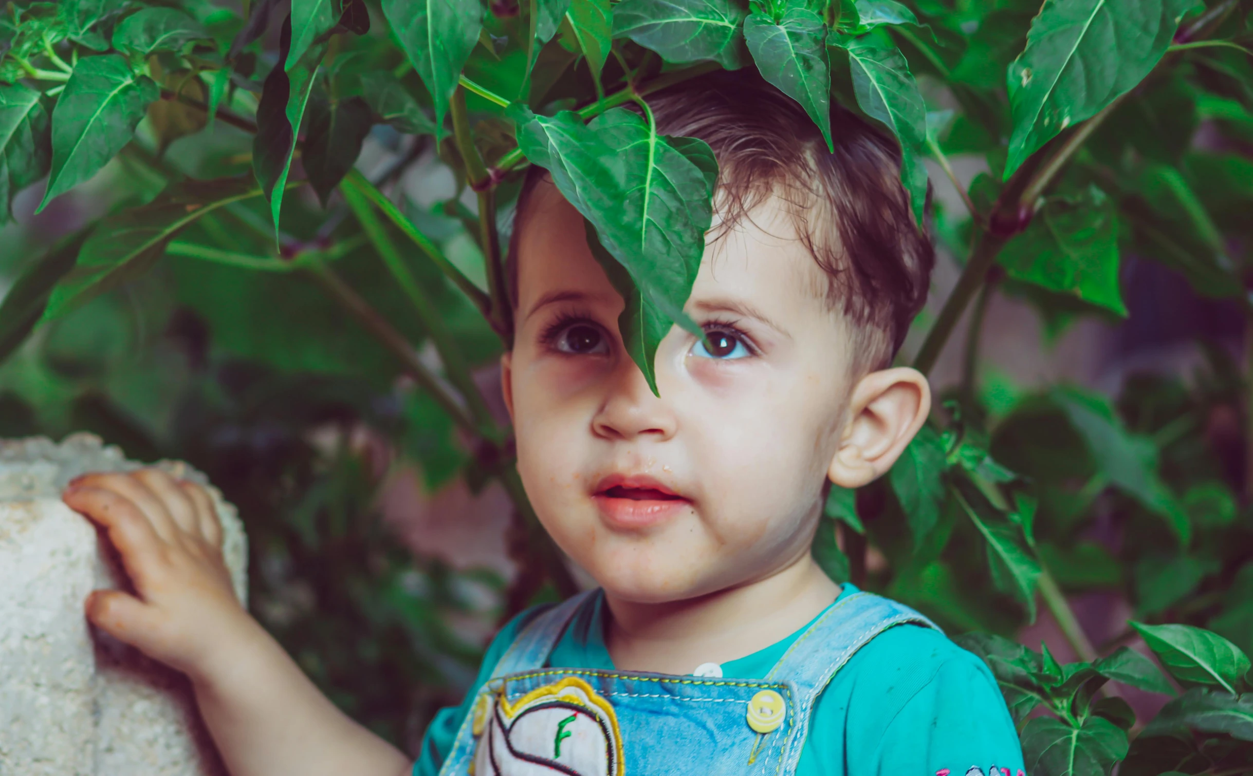 a little boy that is standing next to a tree, dark green leaf hair, heterochromia, next to a plant, profile image