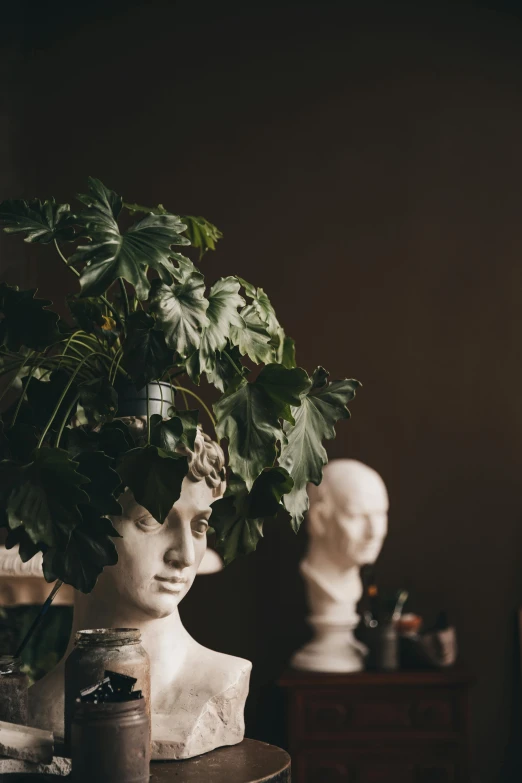 a potted plant sitting on top of a wooden table, a marble sculpture, inspired by Andrea del Verrocchio, trending on unsplash, mannerism, headpiece headpiece headpiece, mannequins, museum quality photo, made of vines