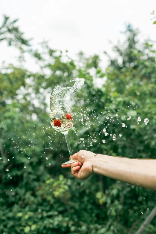 a close up of a person throwing a frisbee in the air, pexels contest winner, conceptual art, berries dripping juice, champagne, gardening, bubble