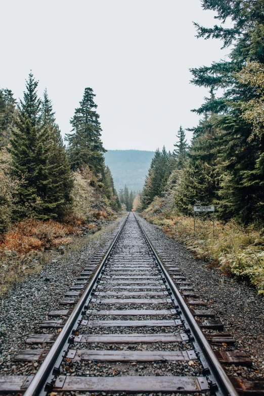 a train track in the middle of a forest, mountains in the distance, instagram post, pacific northwest, 2 5 6 x 2 5 6 pixels