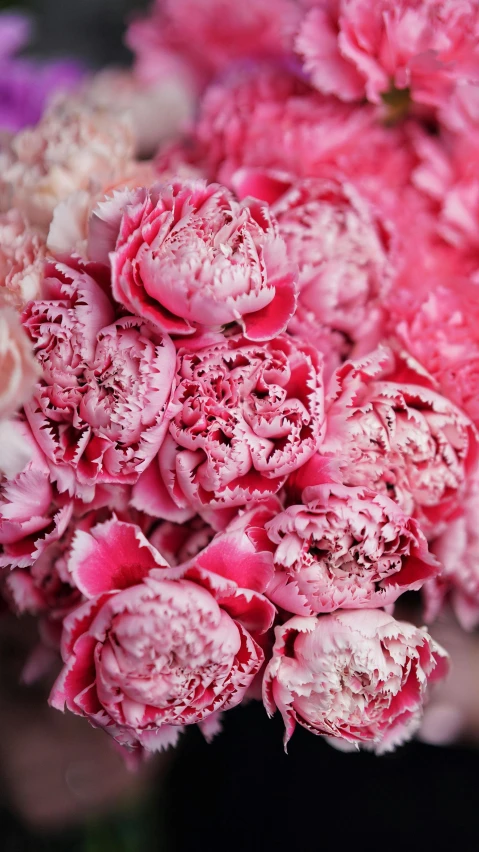 a person holding a bouquet of pink and white flowers, many peonies, zoomed in, ((pink)), frill